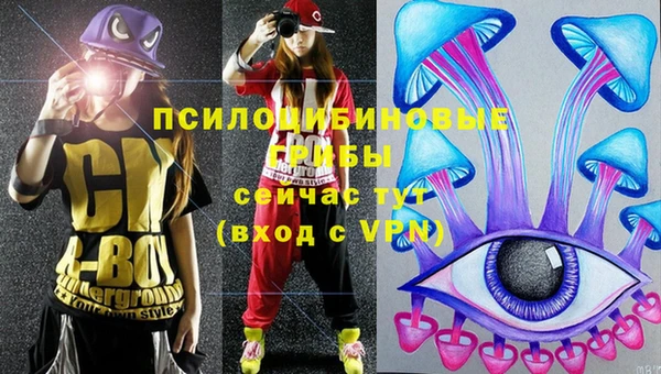 дживик Наволоки