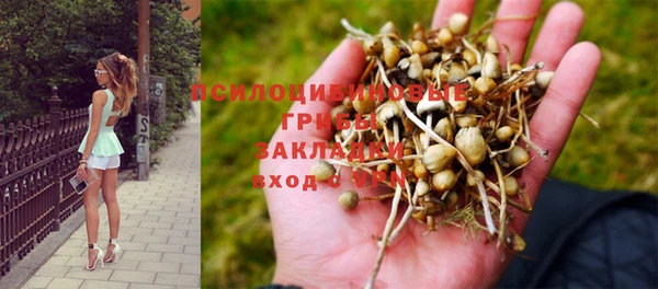 соль курить ск Володарск